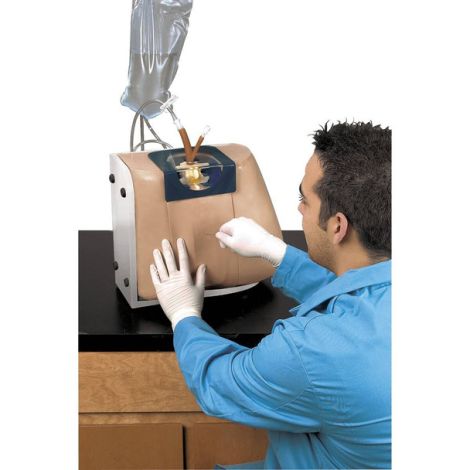 Life/form® Spinal Injection Simulator