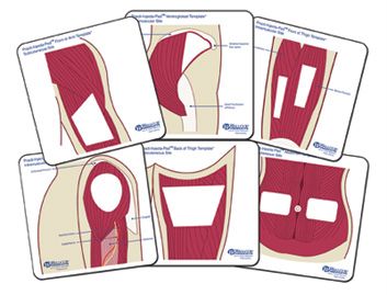 Practi-Mini AnatomicalTemplates™ 