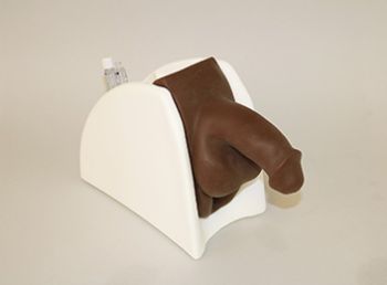 "Cathi & Willi" Catheterization Model Training Stand 
