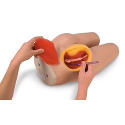 Life/form® Intramuscular Injection Simulator