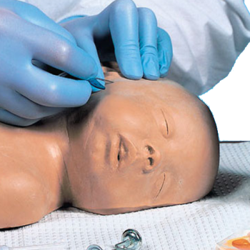 Life/form Pediatric Head